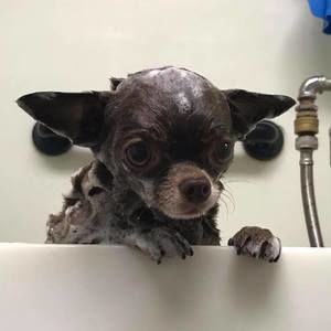 Meet your Posher, Cathy